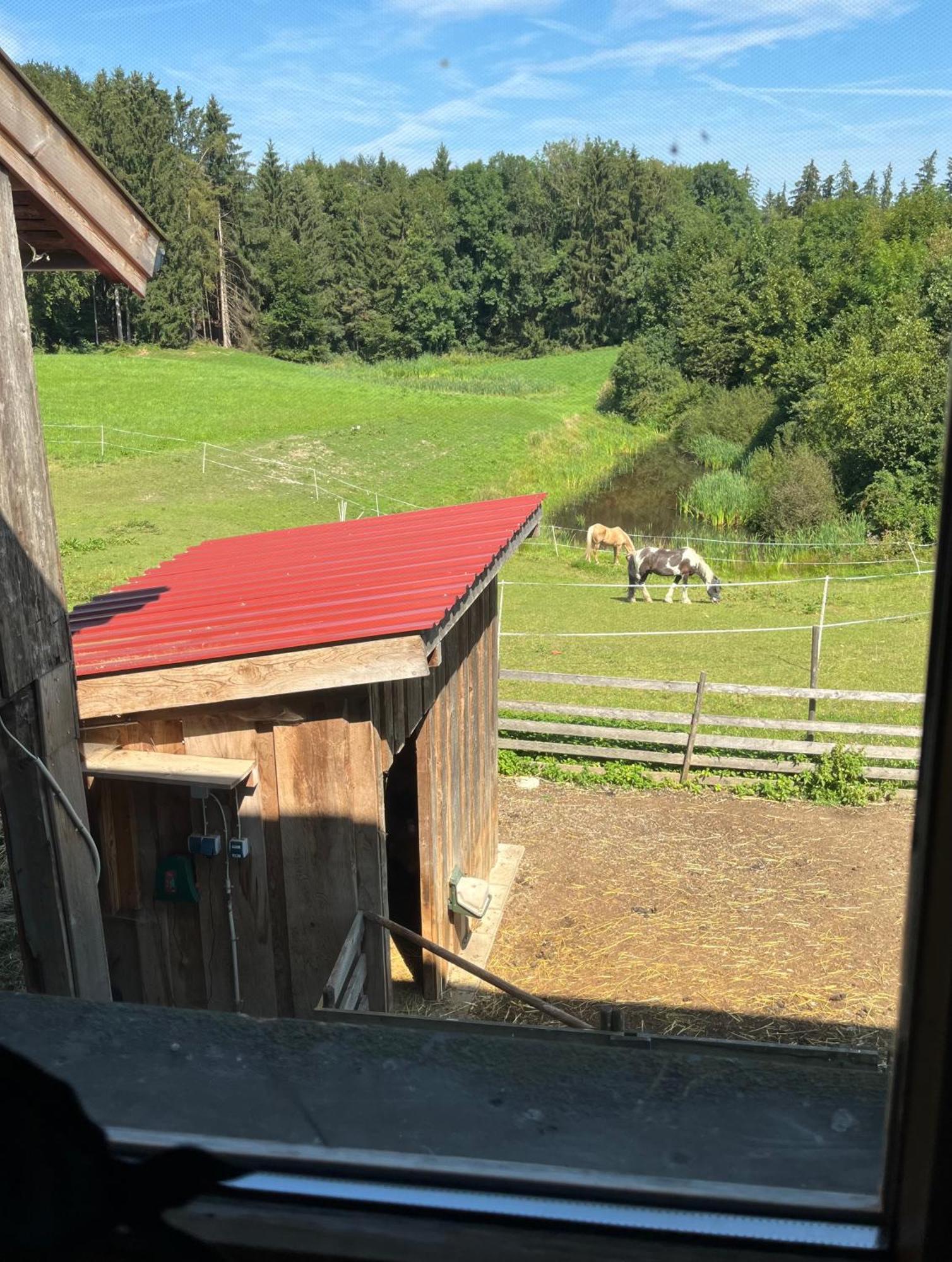Ferienwohnung Metzner Gars Exteriér fotografie