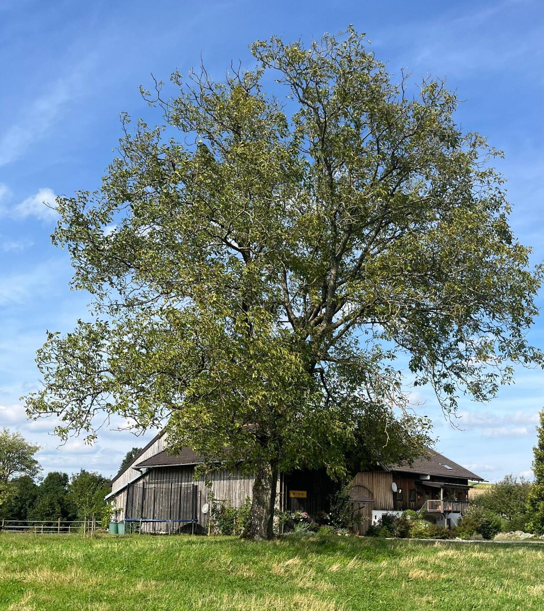 Ferienwohnung Metzner Gars Exteriér fotografie